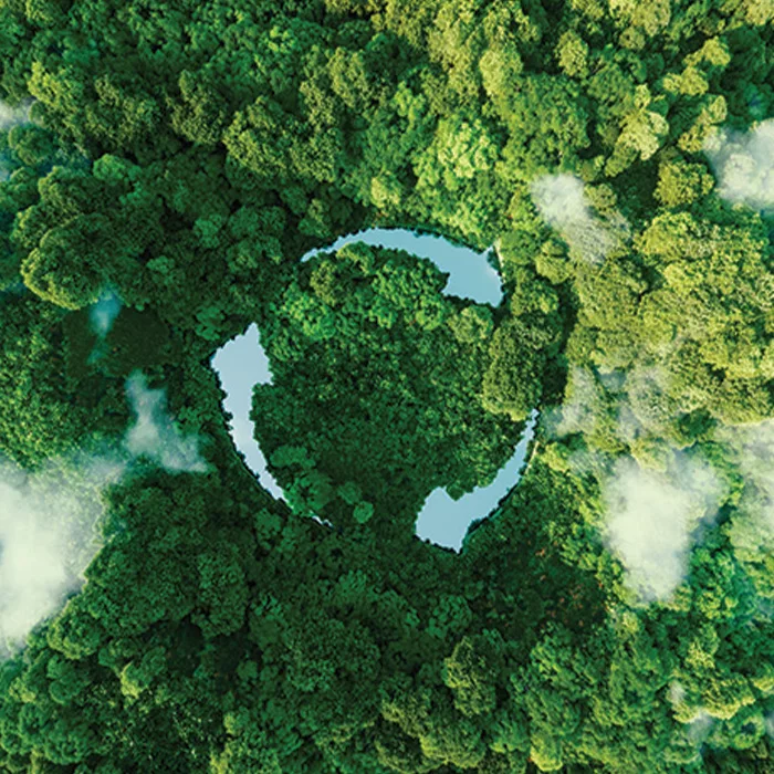 Attention écologique Durabilite ecologique