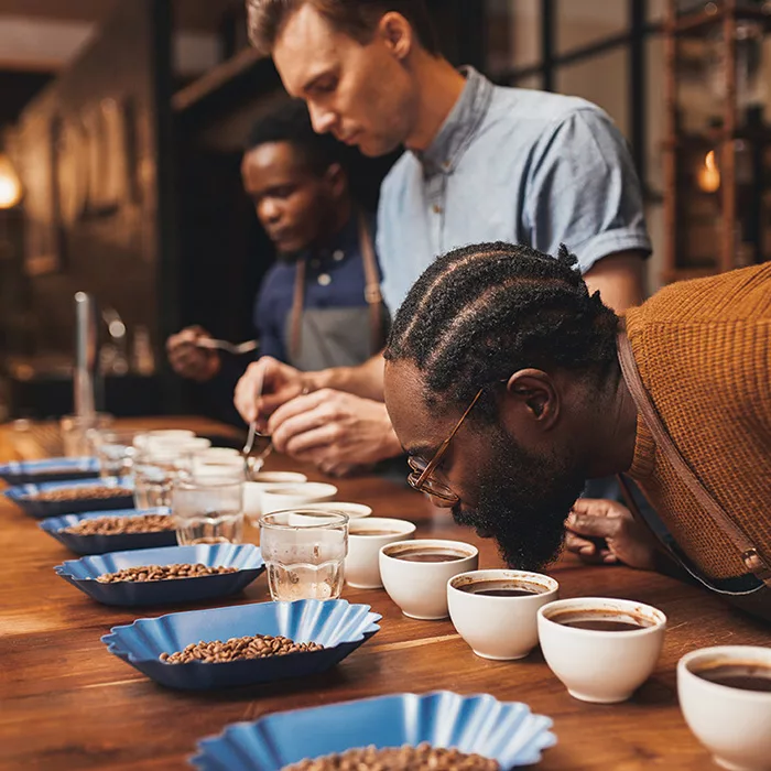 Formation caféologie Cupping cafe