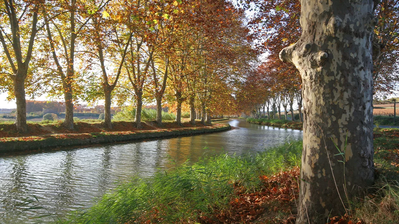 Le Canal du Midi à Béziers